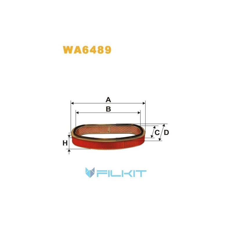 Air filter WA6489 [WIX]