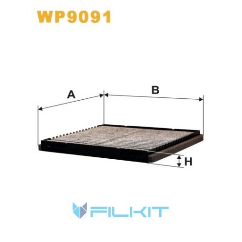 Oil filter (insert) WP9091 [WIX]