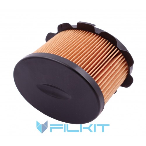 Fuel filter (insert) A120356 [Denckermann]