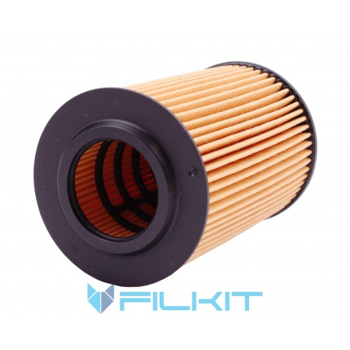 Oil filter (insert) WL7514 [WIX]