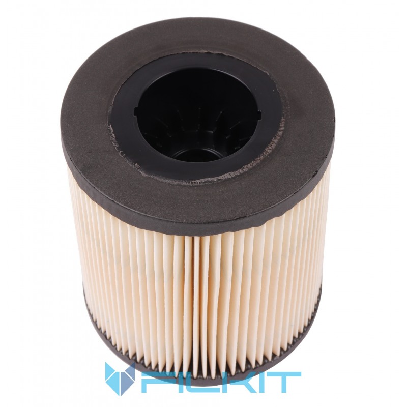 Fuel filter (insert) P552040 [Donaldson]