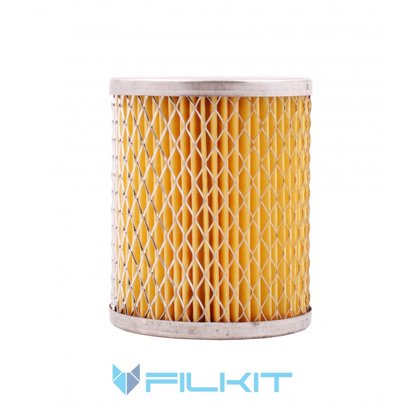 Fuel filter (insert) Alpha-306 [ALPHA FILTER]