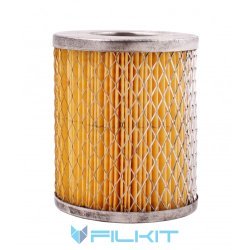 Fuel filter (insert) Alpha-308 [ALPHA FILTER]