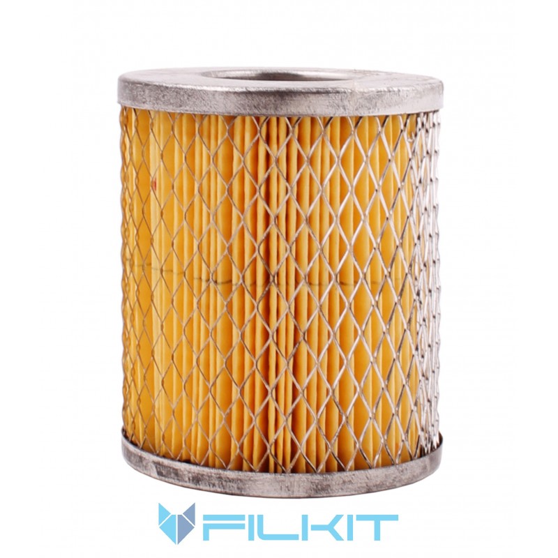 Fuel filter (insert) Alpha-308 [ALPHA FILTER]