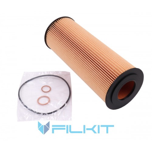 Oil filter (insert) 92041E [WIX]