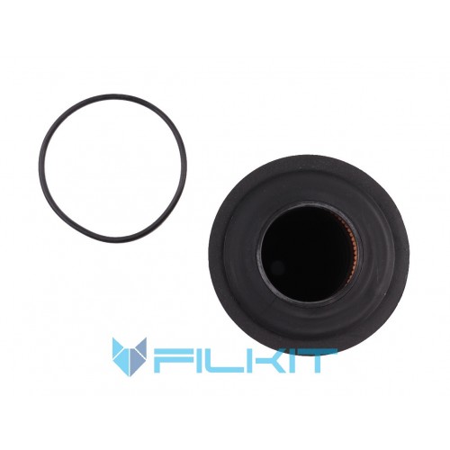 Oil filter (insert) 92038E [WIX]