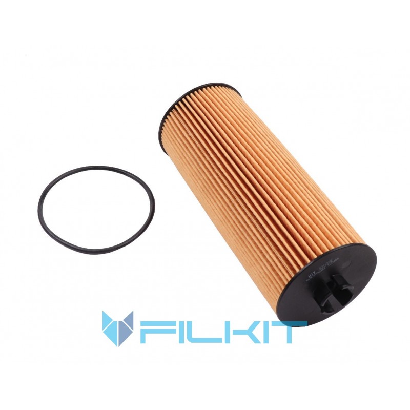 Oil filter (insert) 92038E [WIX]