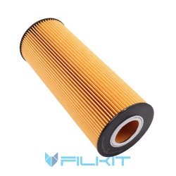 Oil filter (insert) P550453 [Donaldson]