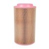 Air filter C23610 [MANN]