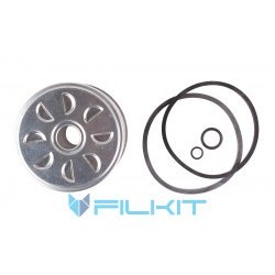 Fuel filter (insert) 33166RE [WIX]
