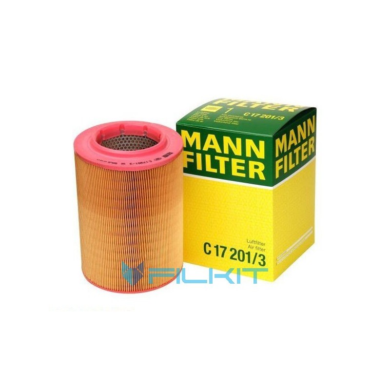 Air filter C17201/3 [MANN]