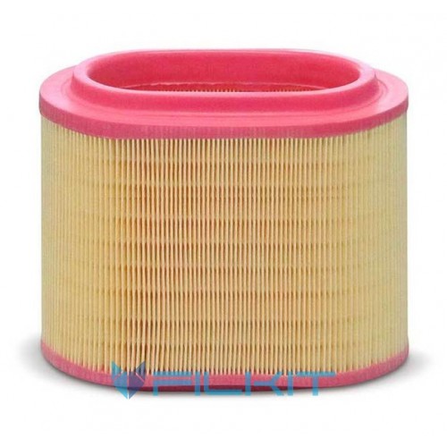 Air filter C24196 [MANN]