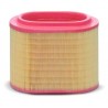 Air filter C24196 [MANN]