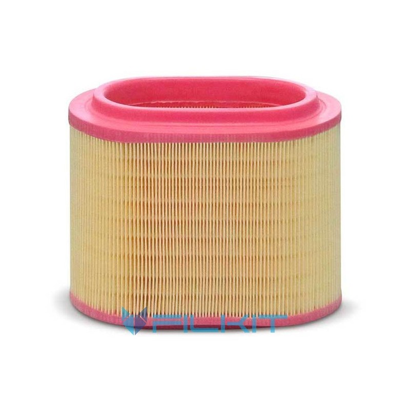 Air filter C24196 [MANN]