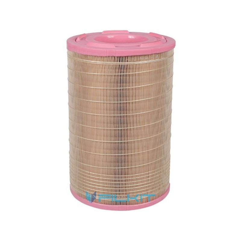 Air filter C25730/1 [MANN]