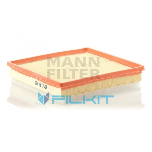 Air filter C30163 [MANN]