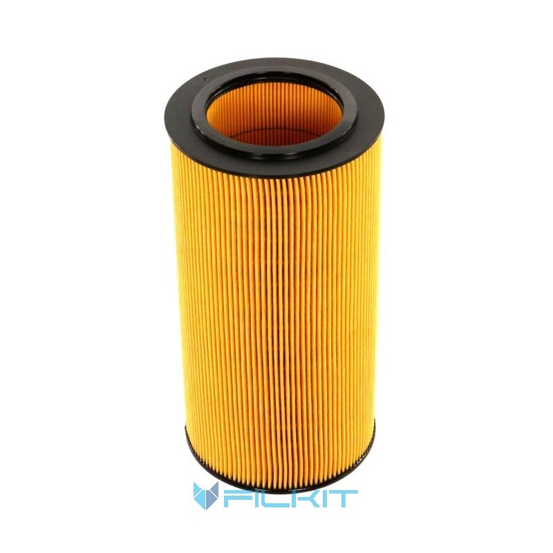 Oil filter (insert) 92092E [WIX]