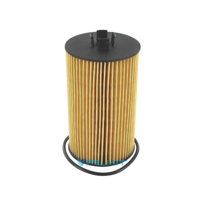 Oil filter (insert) P550768 [Donaldson]