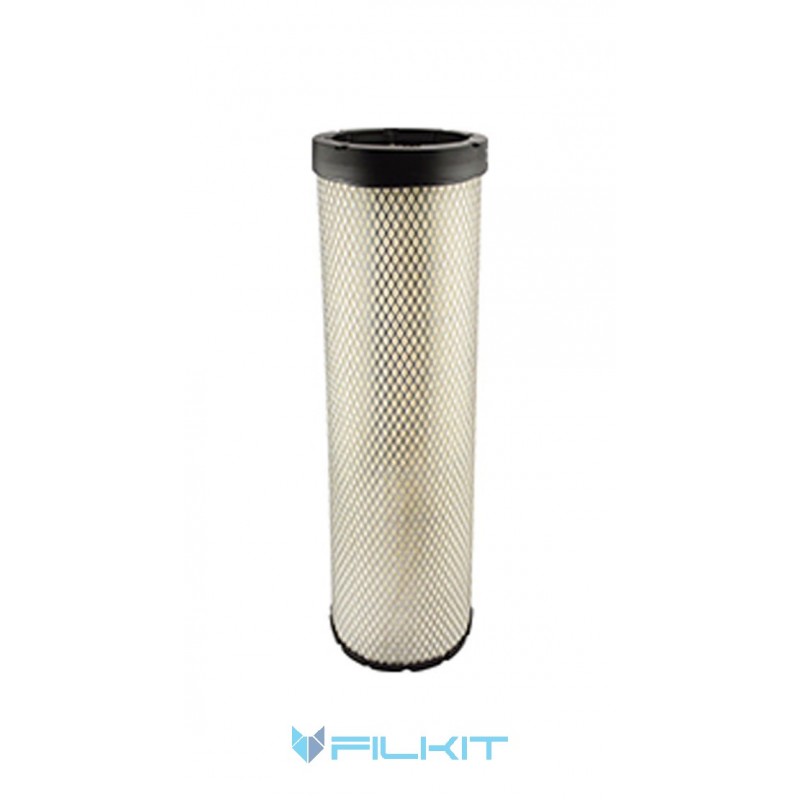 Air filter P548901 [Donaldson]