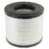 Air filter P603755 [Donaldson]