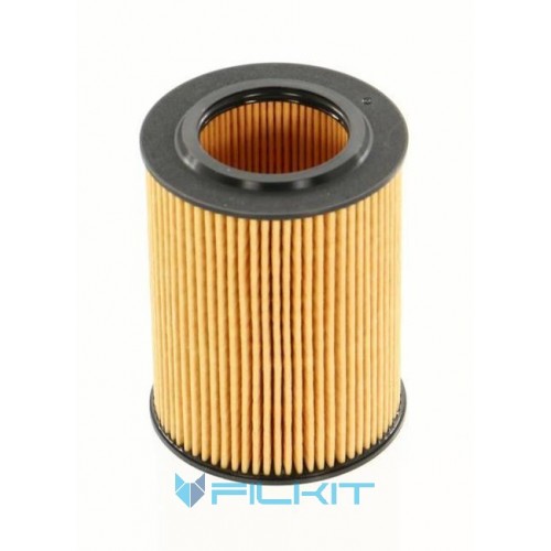 Oil filter (insert) WL7419 [WIX]