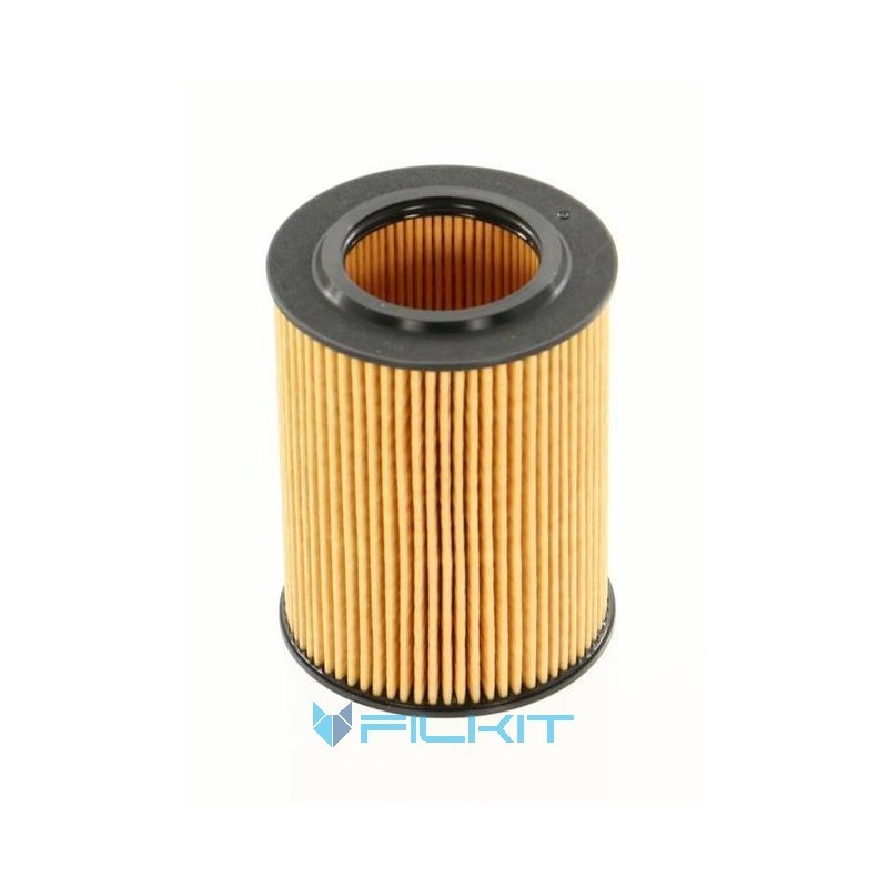 Oil filter (insert) WL7419 [WIX]