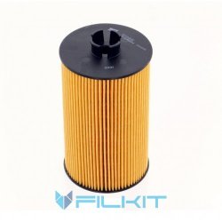 Oil filter (insert) 92040E [WIX]