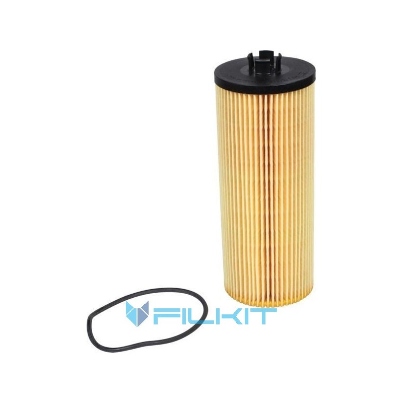 Oil filter (insert) 92038E [WIX]