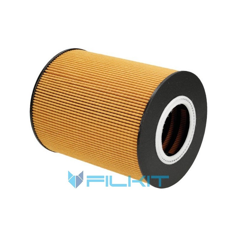 Oil filter (insert) P550765 [Donaldson]