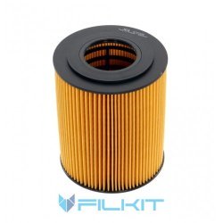 Oil filter (insert) 92026E [WIX]