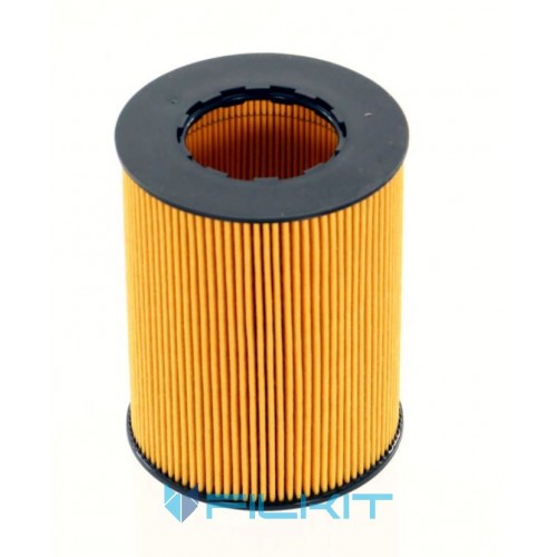 Oil filter (insert) WL7461 [WIX]