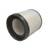 Air filter C31021 [MANN]