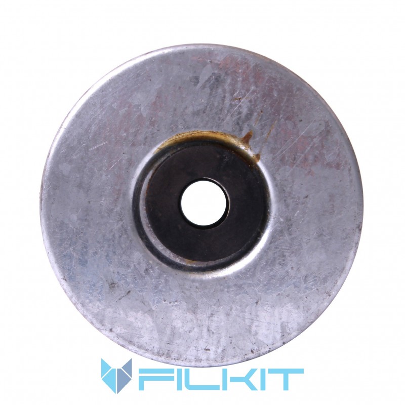Fuel filter (insert) РД-026 [Промбізнес]