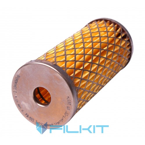 Fuel filter (insert) РД-009 [Промбізнес]