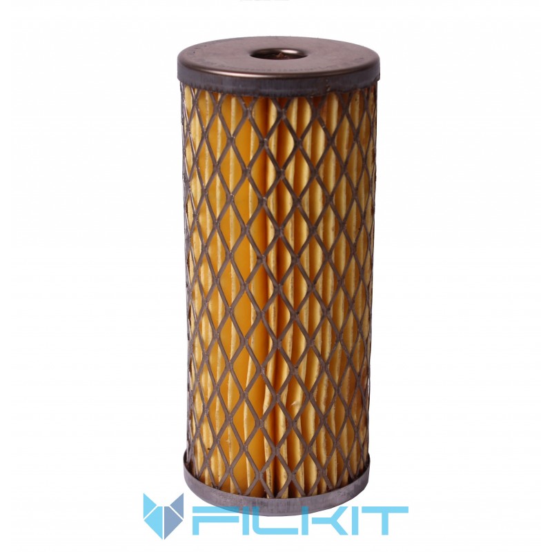 Fuel filter (insert) РД-009 [Промбізнес]