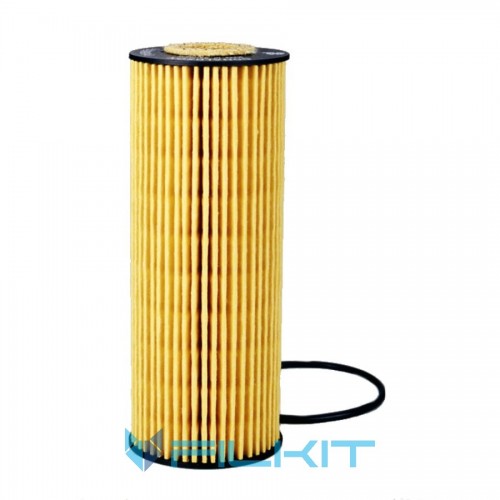 Oil filter (insert) P550521 [Donaldson]