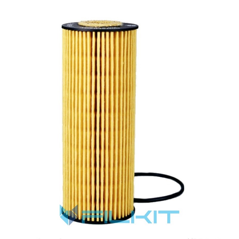 Oil filter (insert) P550521 [Donaldson]