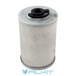 Fuel filter (insert) SL 601 [SCT]