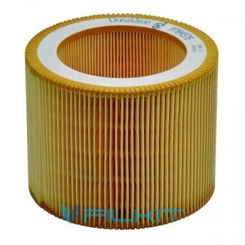 Air filter P784578 [Donaldson]