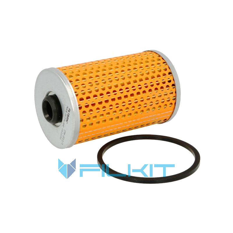 Fuel filter (insert) РM 813/1 [Filtron]