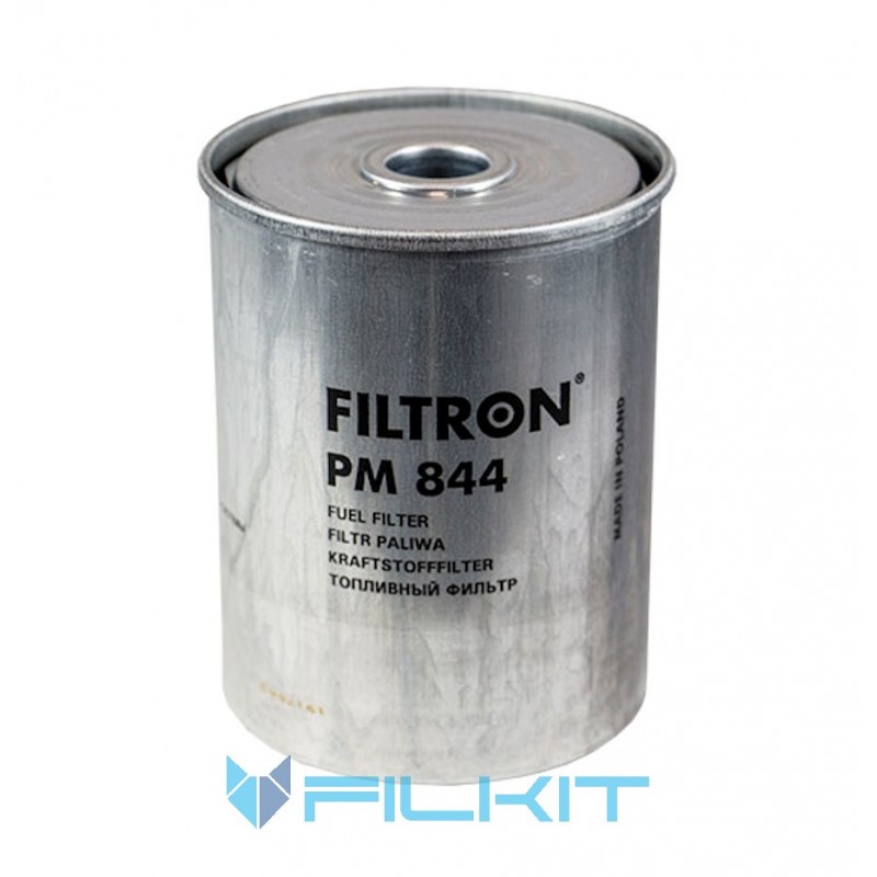 Fuel filter (insert) PM844