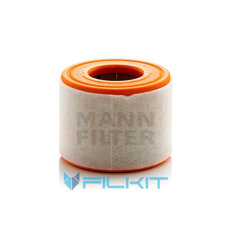 Air filter C 15 010 [MANN]