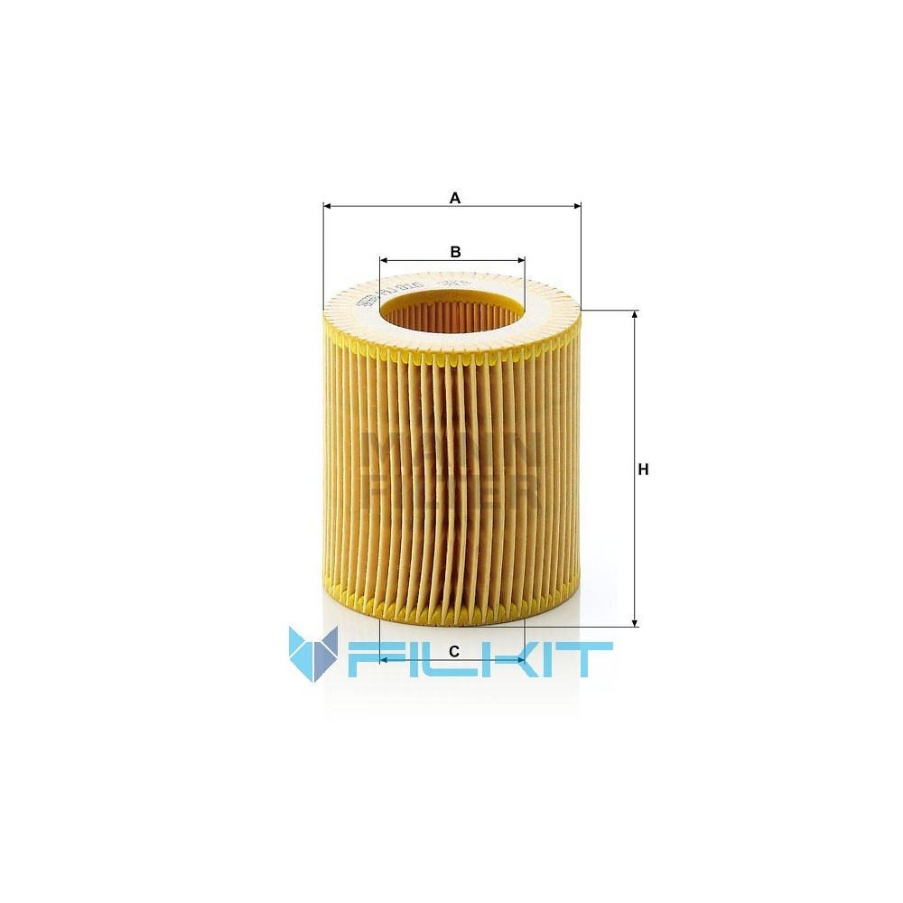  Mann Filter Oil Filter Element - HU816X : Automotive