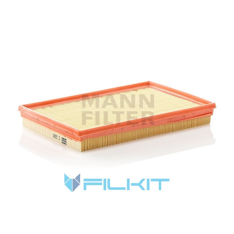 Air filter C 2880 [MANN]