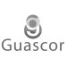 Parts of GUASCOR