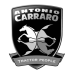 Parts of CARRARO ANTONIO